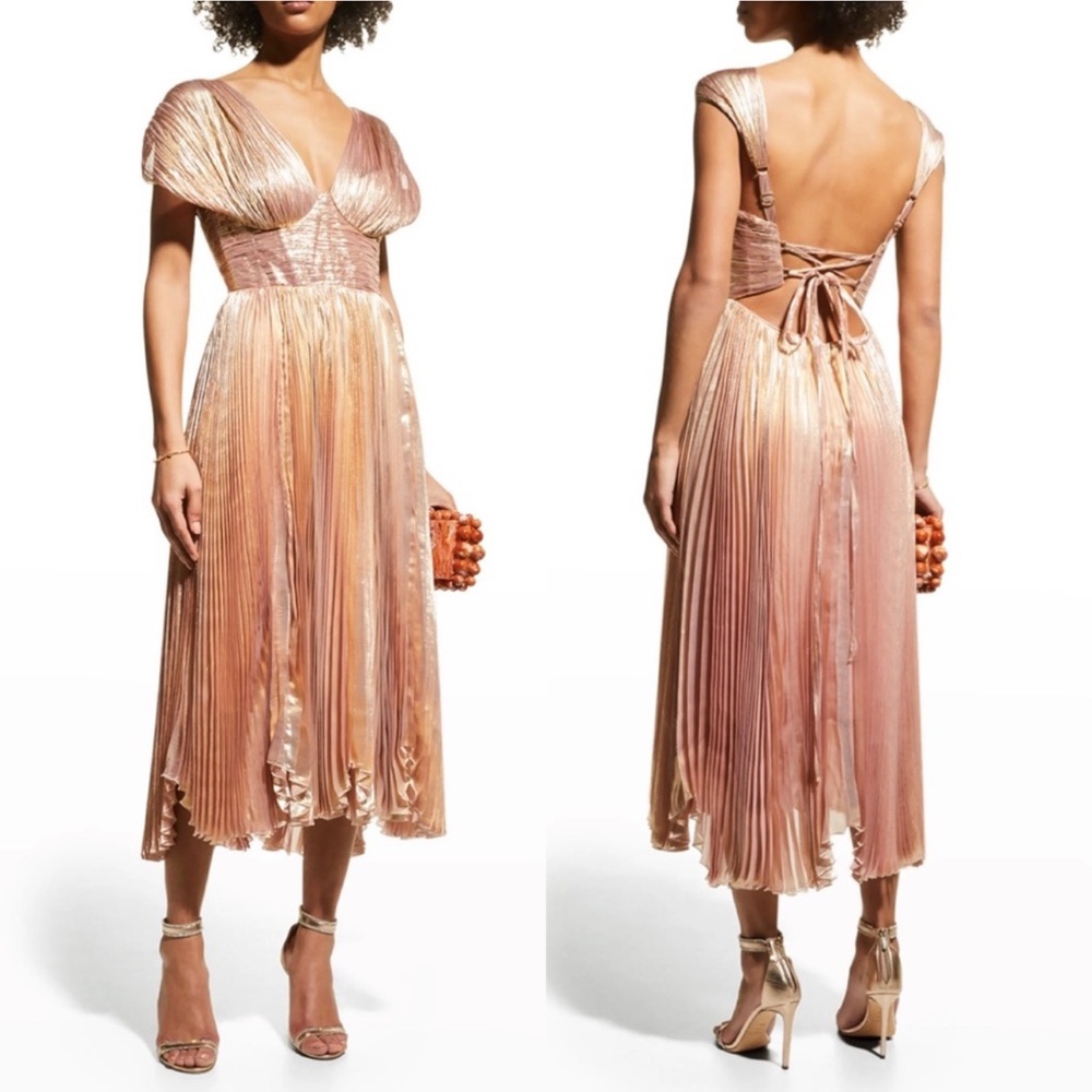 Stunning never worn Maria Lucia Hohan Dress